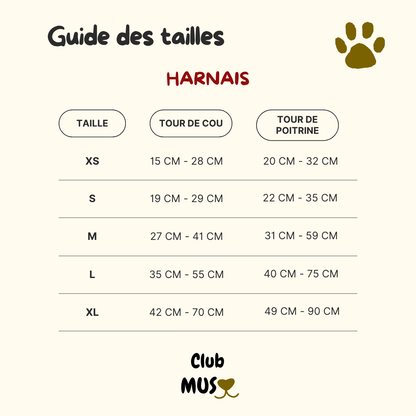 Harnais Georges