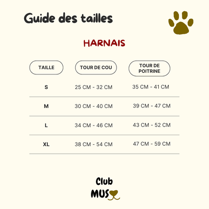 Harnais et laisse ARCHIE