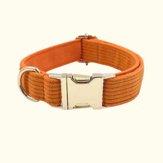 Collier Iris orange