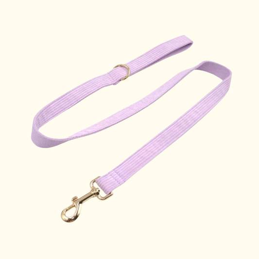 Laisse Iris violette