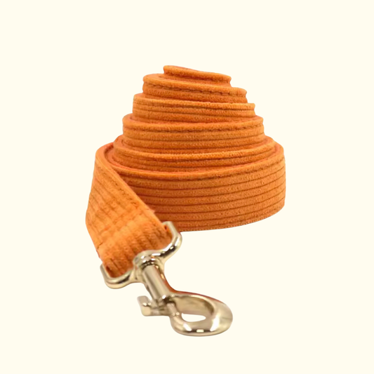 Laisse Iris orange